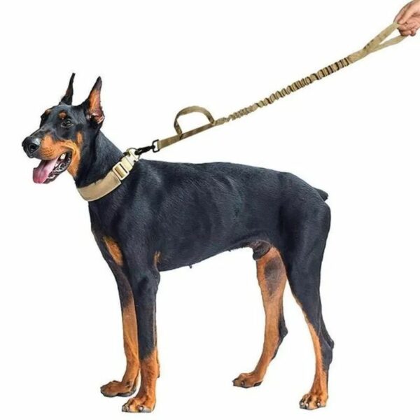 Correa Táctica para mascotas - Imagen 6